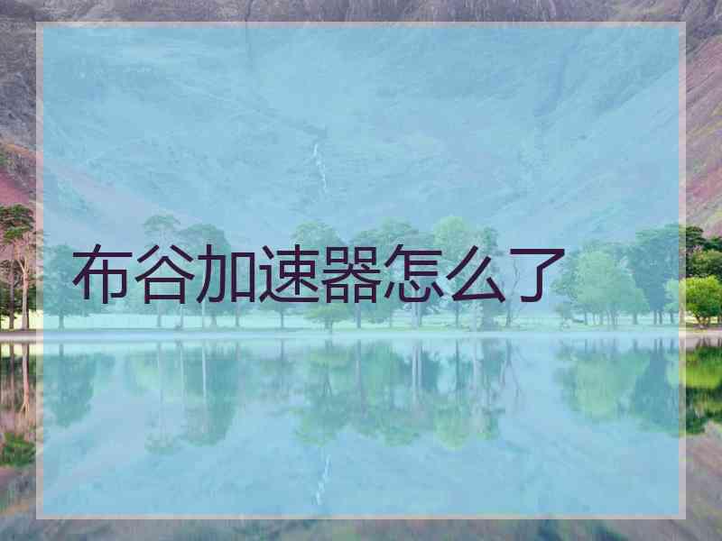 布谷加速器怎么了 布谷加速器怎么了